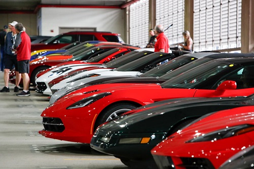 Corvettes lined up parked